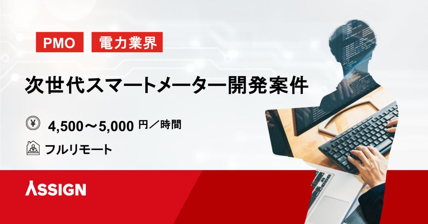 【PMO】電力業界向け開発案件 - PMOリーダー（次世代スマートメーター開発PJT） フルリモート