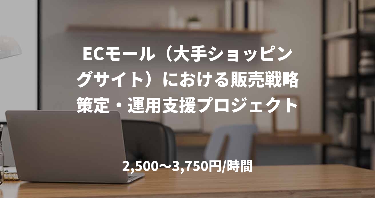 ECモール（大手ショッピングサイト）における販売戦略策定・運用支援プロジェクト
