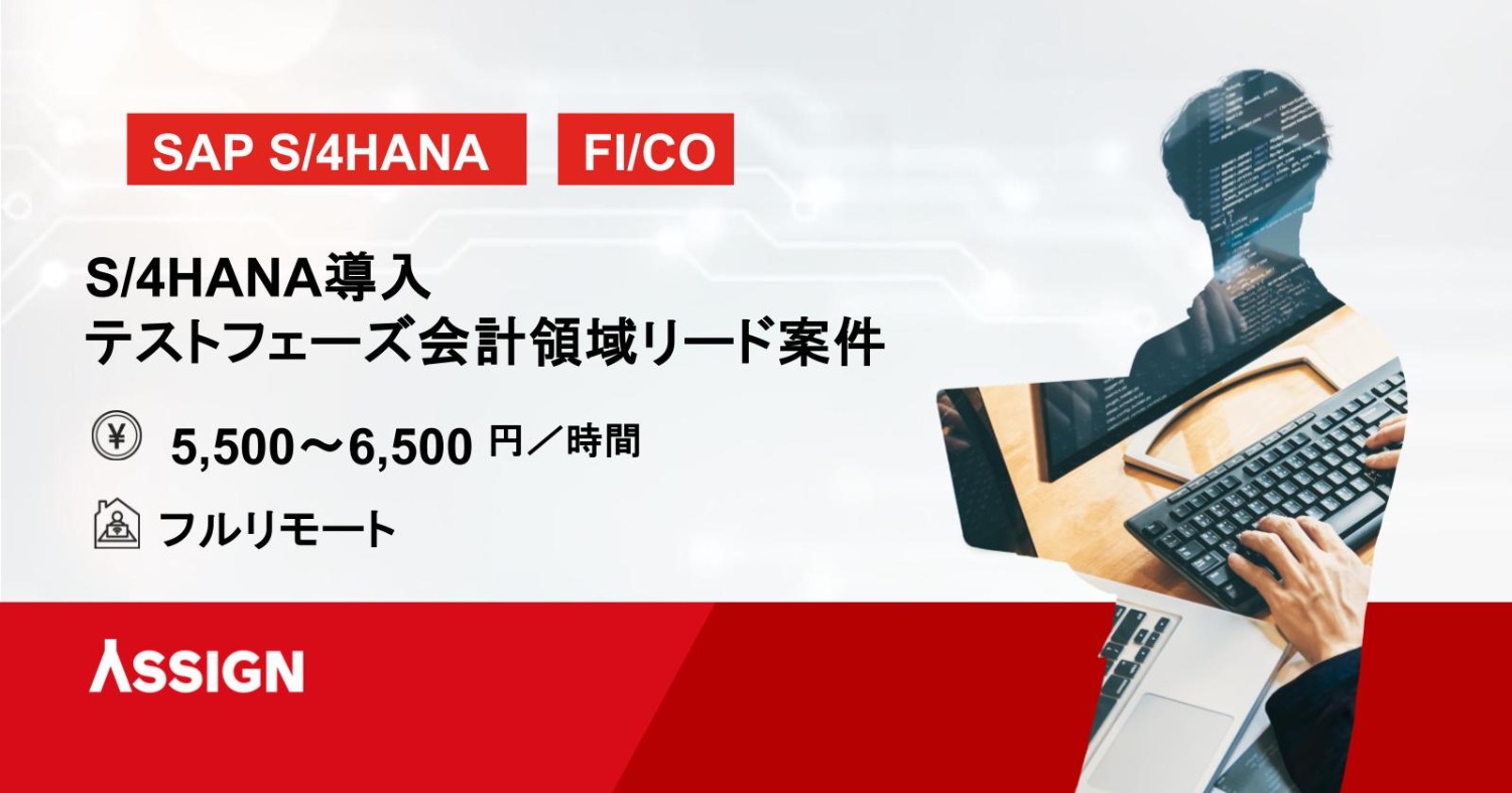 【SAP/FIリード】S/4HANA導入・テストフェーズ会計領域リード案件　フルリモート