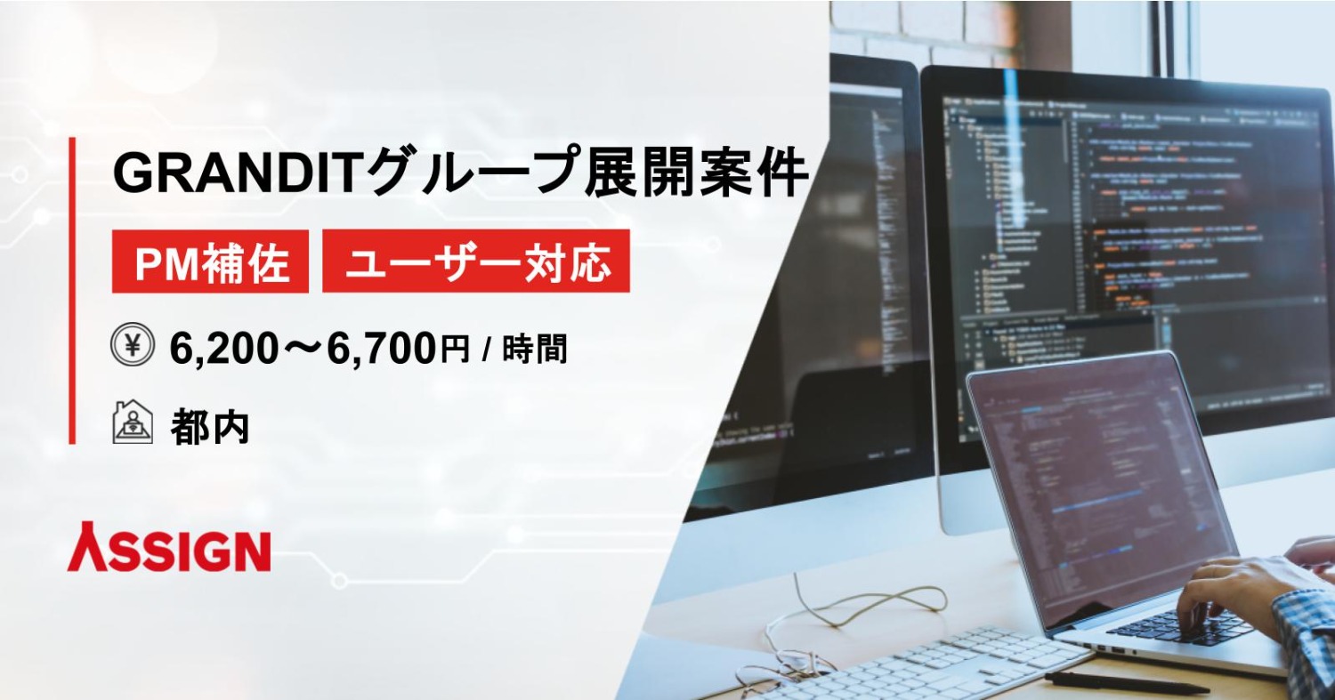 【PM補佐/ユーザー対応】GRANDITグループ展開案件　＠都内