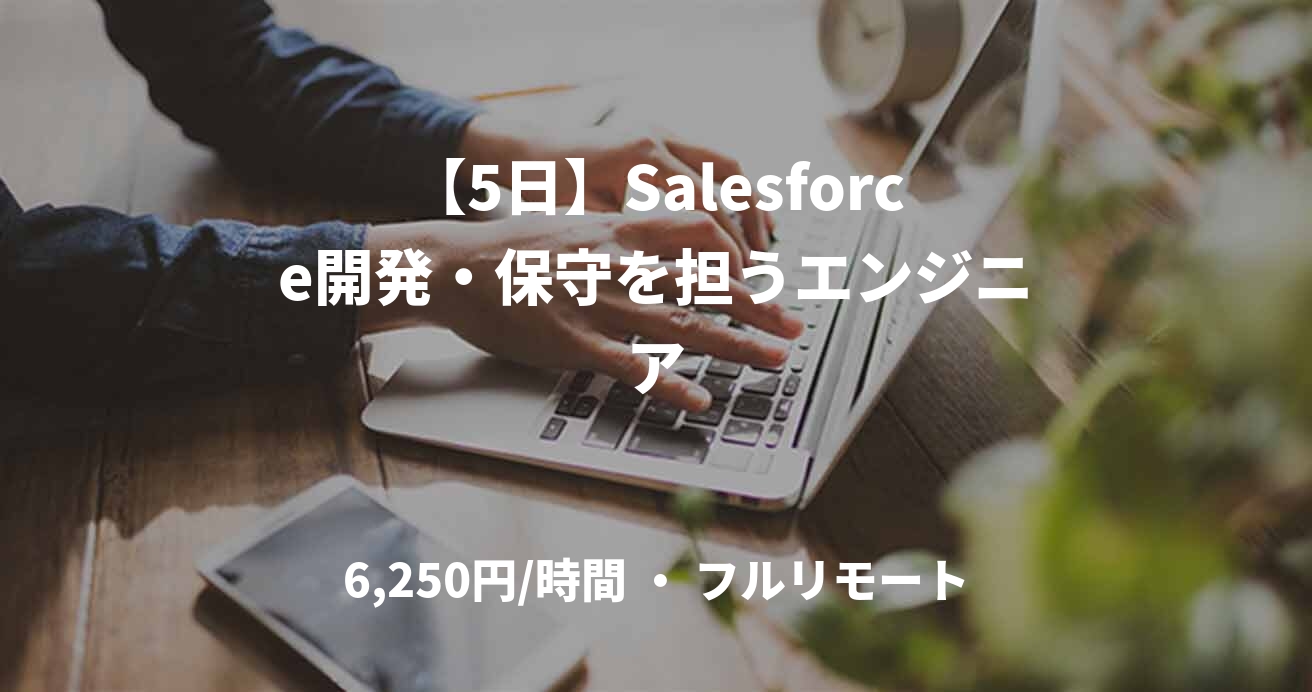 【5日】Salesforce開発・保守を担うエンジニア