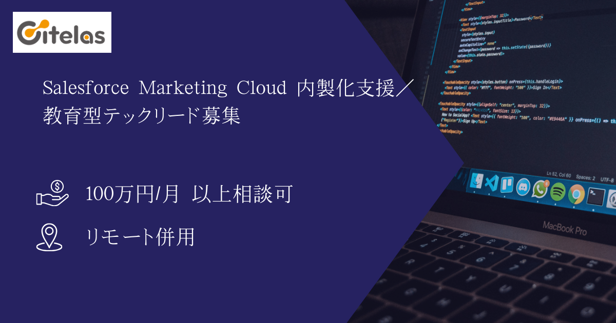 【弊社直案件 / 単価100万以上相談可】Salesforce Marketing Cloud 内製化支援／教育型テックリード募集