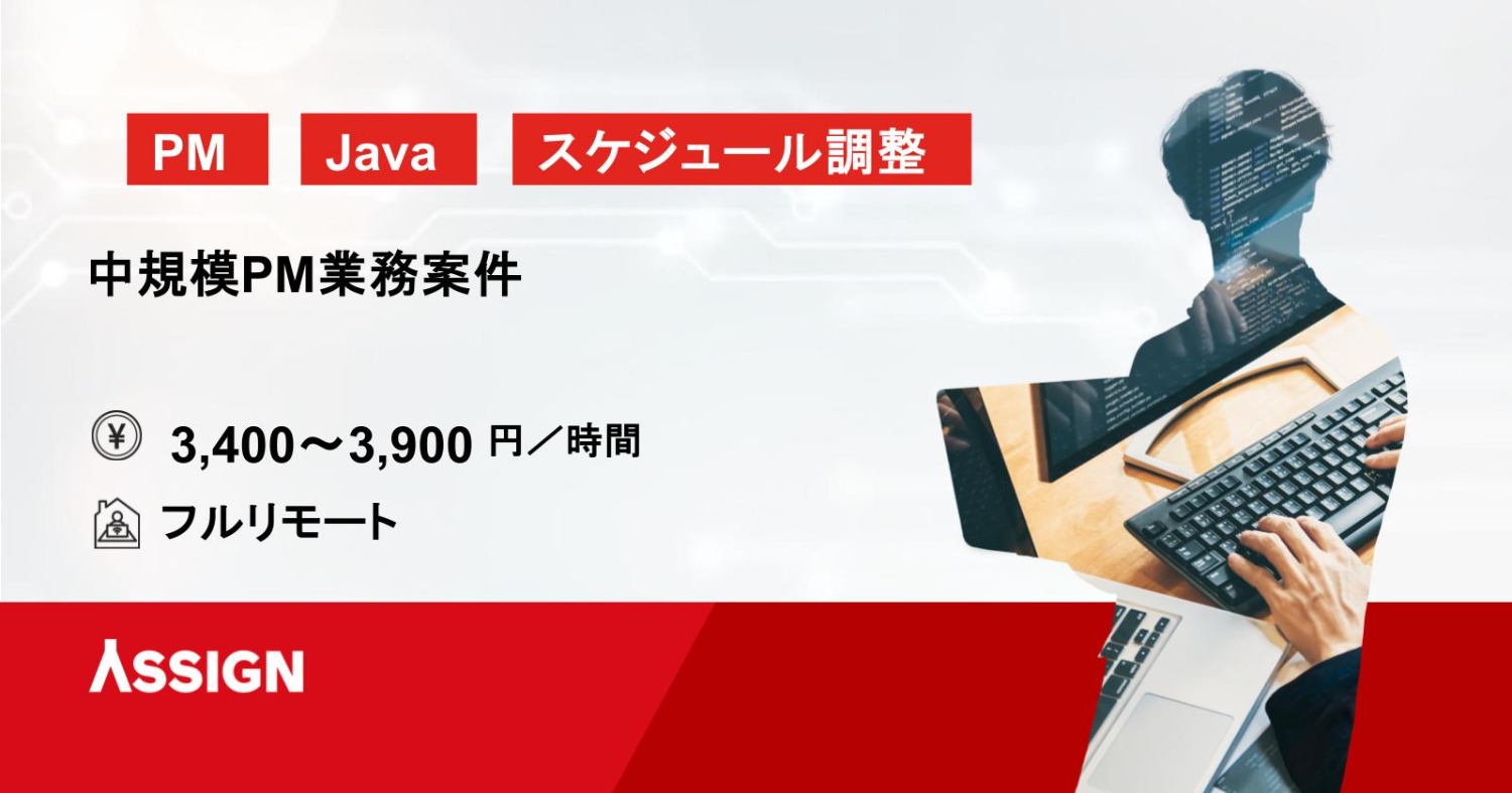 【PM/Java】中規模PM業務案件　フルリモート