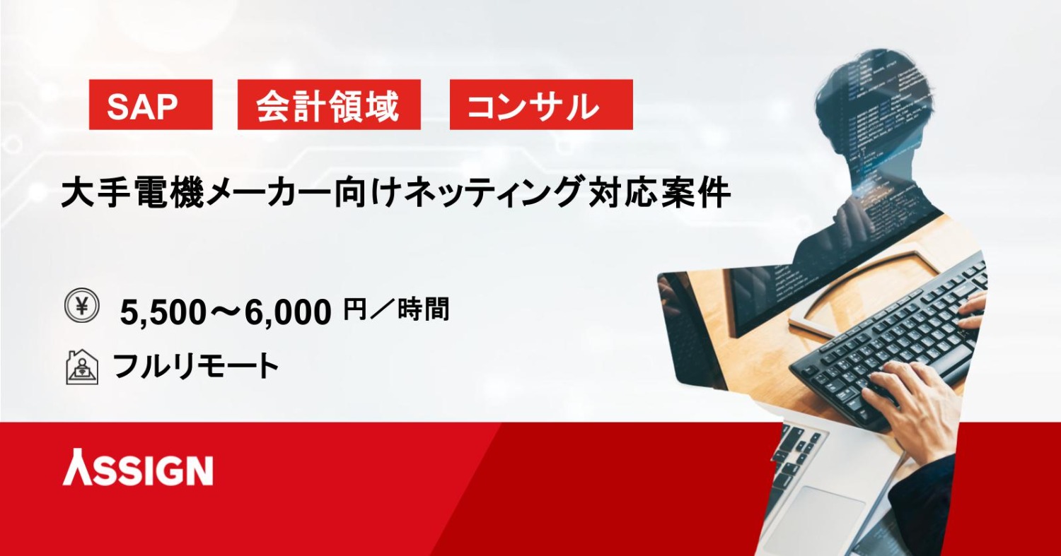 【SAPコンサル】大手電機メーカー向けネッティング対応案件　神田