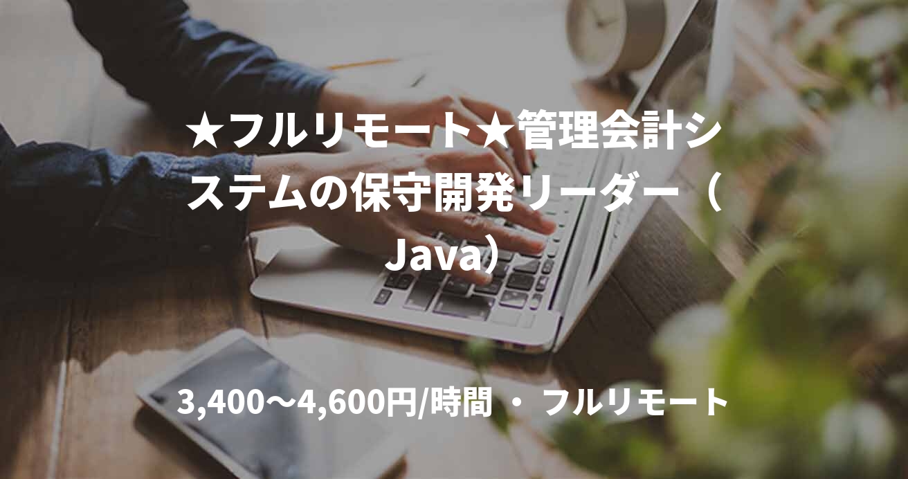 ★フルリモート★管理会計システムの保守開発リーダー（Java）