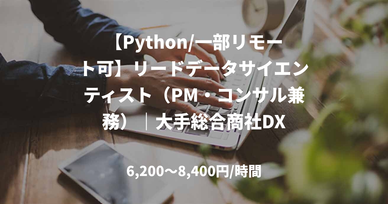 【Python/一部リモート可】リードデータサイエンティスト（PM・コンサル兼務）｜大手総合商社DX