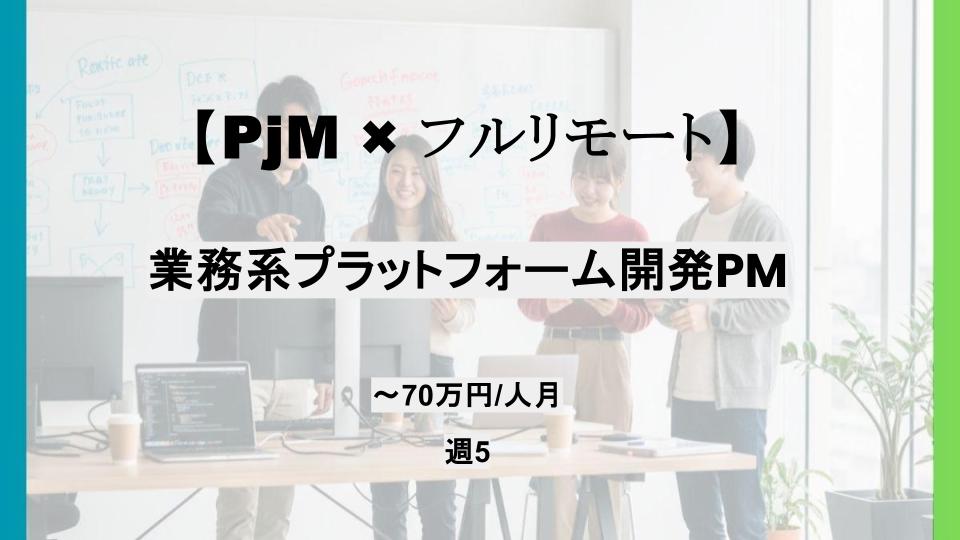 【PjM/スクラムマスター/リモート】週5日/業務系プラットフォーム開発のPM支援/パートナー案件