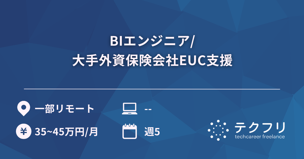 BIエンジニア/大手外資保険会社EUC支援