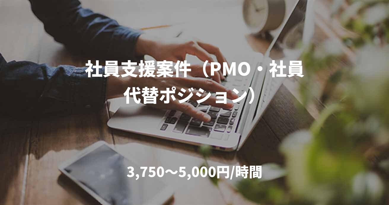 社員支援案件（PMO・社員代替ポジション）