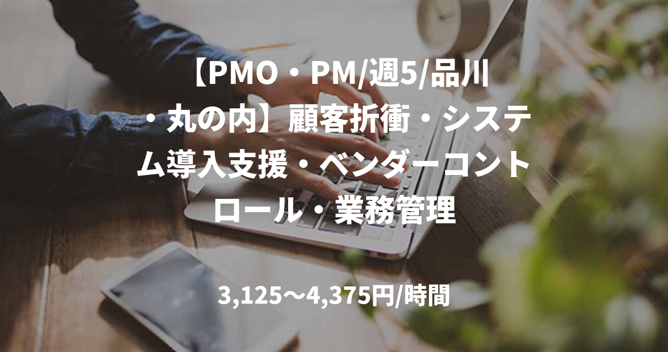 【PMO・PM/週5/品川・丸の内】顧客折衝・システム導入支援・ベンダーコントロール・業務管理