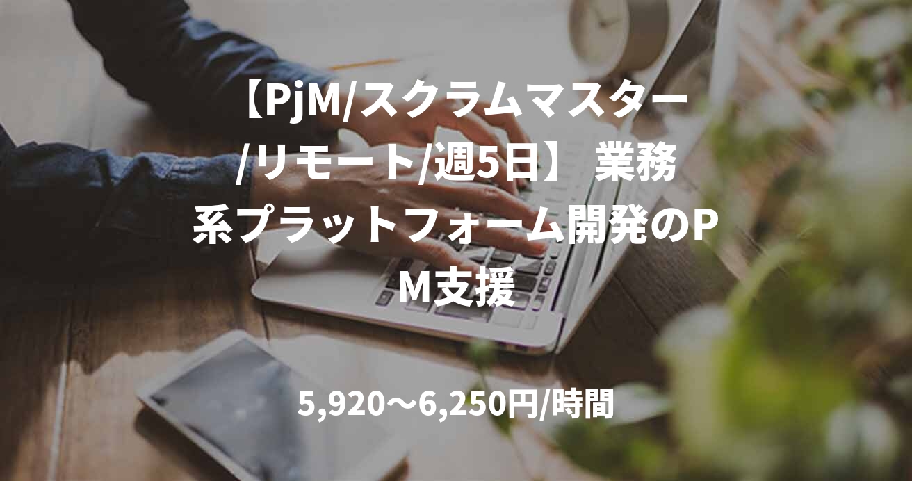 【PjM/スクラムマスター/リモート/週5日】 業務系プラットフォーム開発のPM支援