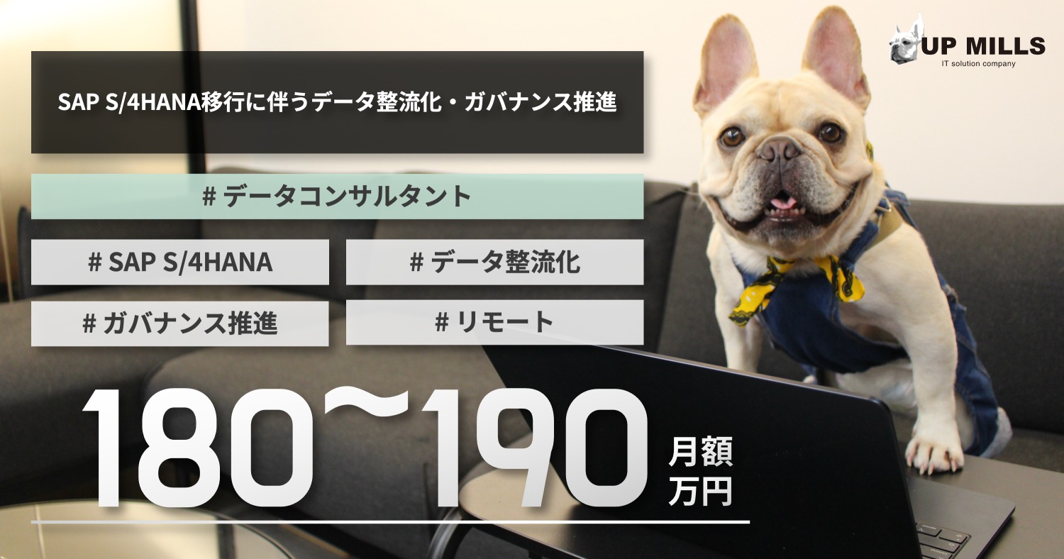 SAP S/4HANA移行に伴うデータ整流化・ガバナンス推進