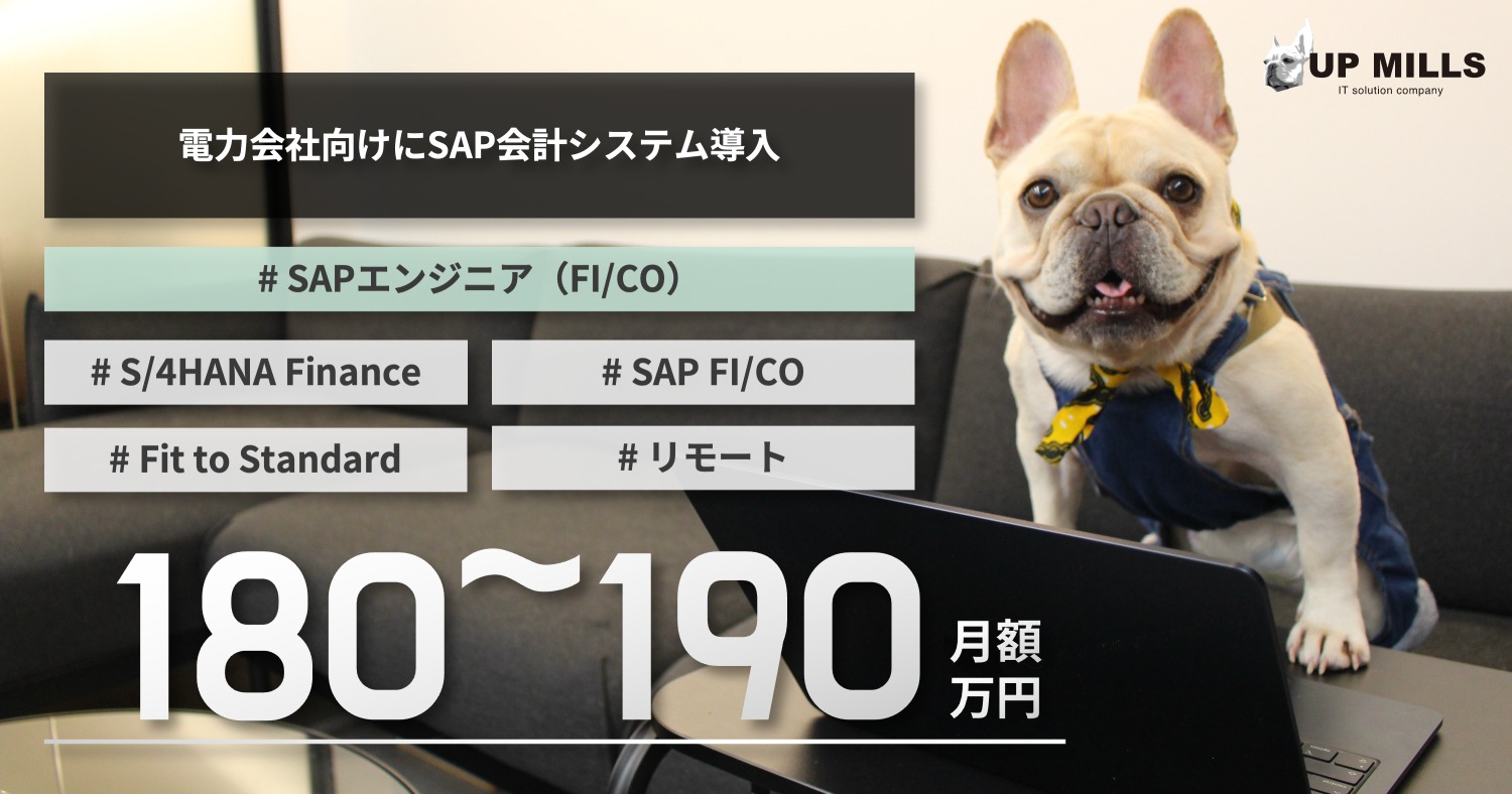 電力会社向けにSAP会計システム導入