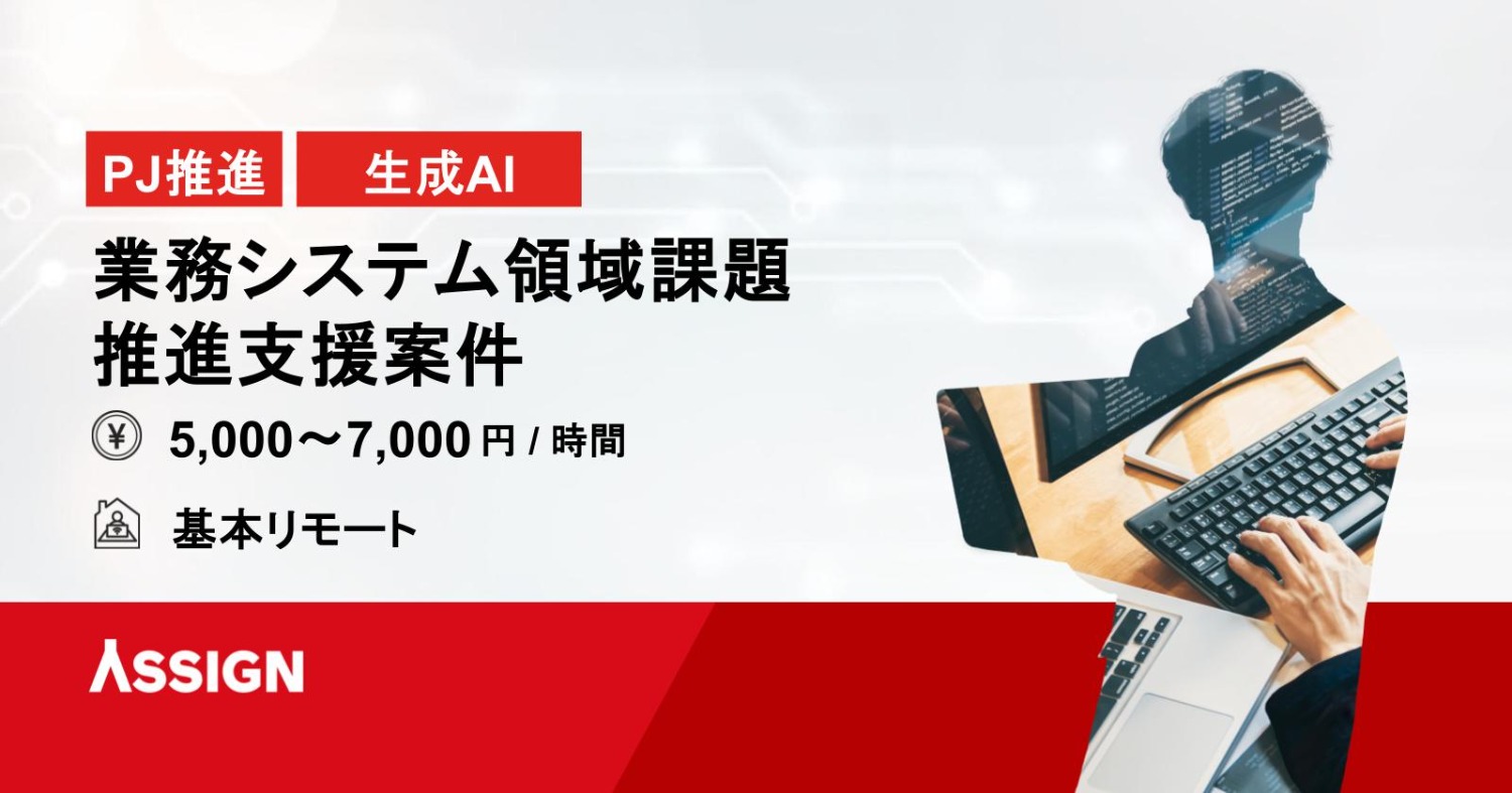 業務システム領域／課題・対応策の検討・推進および技術支援案件