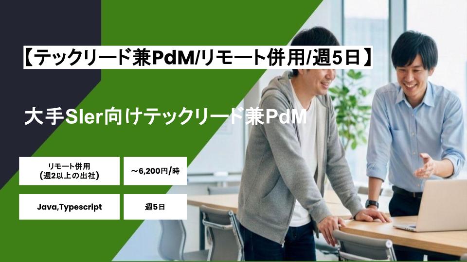 【テックリード兼PdM/リモート併用】週5日/大手SIer向けテックリード兼PdM/パートナー案件