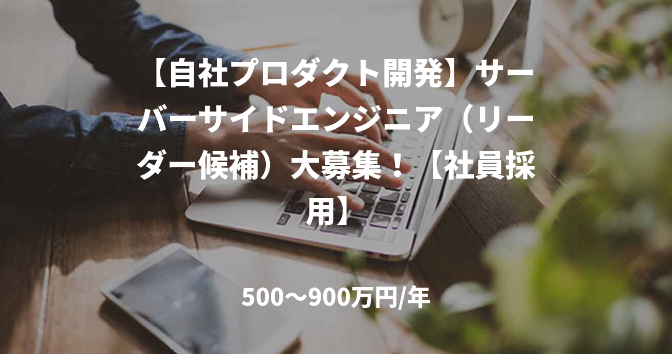 【自社プロダクト開発】サーバーサイドエンジニア(リーダー候補)大募集!【社員採用】