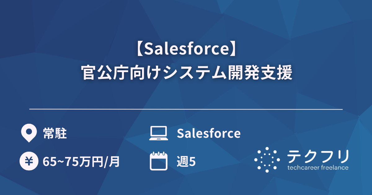【Salesforce】官公庁向けシステム開発支援