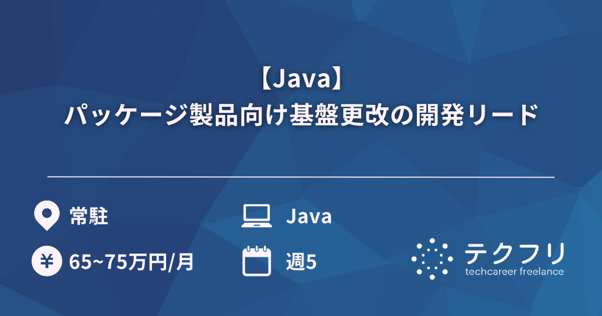 【Java】パッケージ製品向け基盤更改の開発リード