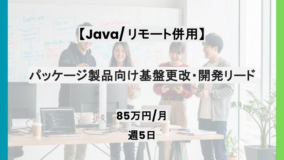 【Java/リモート併用】週5日/パッケージ製品向け基盤更改・開発リード/パートナー案件