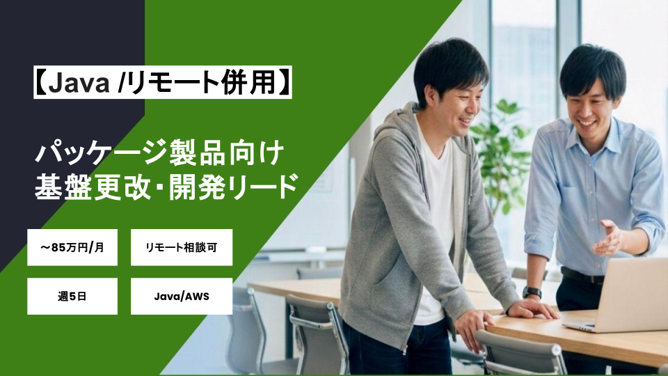 【Java/リモート併用】週5日/パッケージ製品向け基盤更改・開発リード/パートナー案件