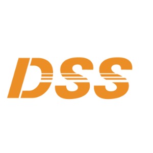 株式会社ディライトソリューションズ