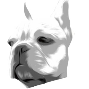 株式会社UP MILLS