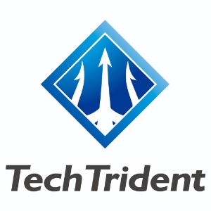 株式会社テックトライデント